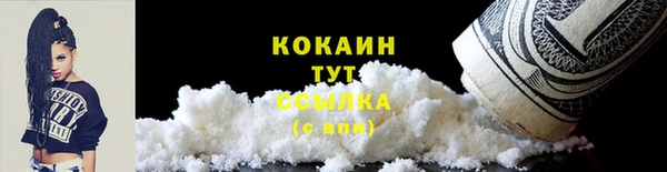 винт Бородино