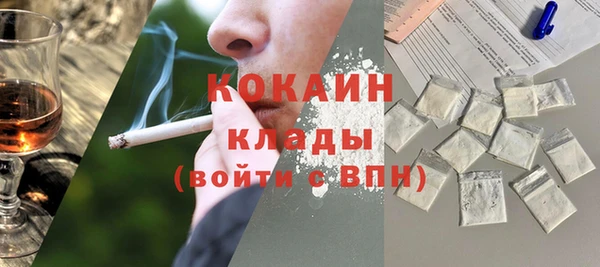 spice Богданович