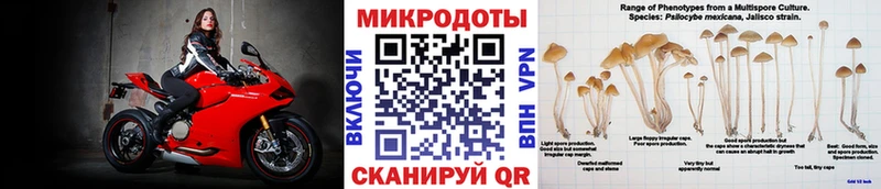 Псилоцибиновые грибы Psilocybine cubensis  Северск 